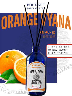 OEM Reed Diffuser Oranje smaak en kaneel basis Natuurlijke glazen fles Geur parfum