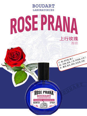 ROSE PRANA Geurige sproei kruidnagel Essentiële olie Lichaamssproei Lichaamsmist OEM Groothandel Parfum Geurende olie Geconcentreerd