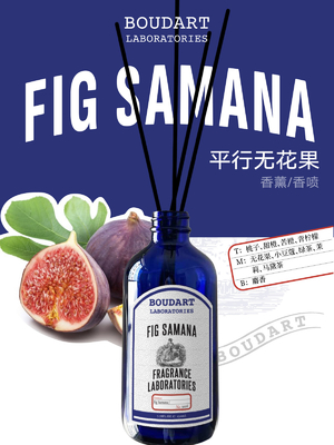 FIG SAMANA Reed Diffuser Aroma Rattan Sticks in Elegante Design Stijl met Perzik Top Noten
