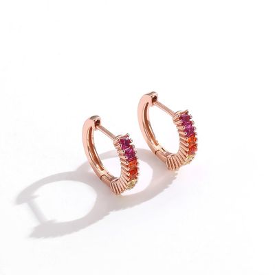 Regenboog Sterling Silver Jewelry Earrings
