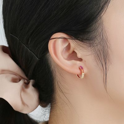 Regenboog Sterling Silver Jewelry Earrings